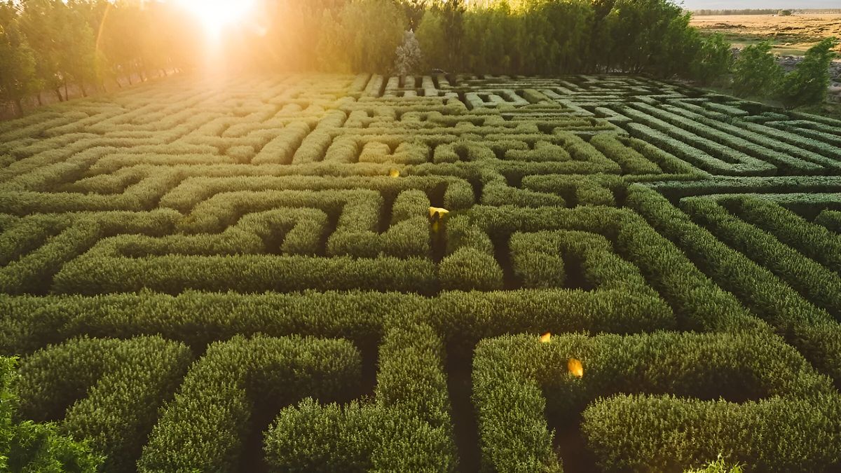 Vacaciones en Mendoza: conocé este encantador predio con un laberinto espectacular muy cercano a la localidad de Malargüe.