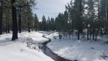 Baja California: San Pedro Mártir cierra por prevención