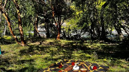 Turismo de bienestar: qué son los baños de bosque y por qué son tan buscados por los turistas