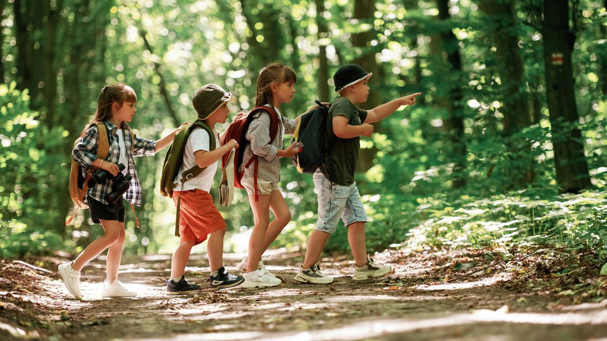 Estas vacaciones de mitad de año son la oportunidad perfecta para crear recuerdos inolvidables en familia y explorar destinos únicos en Colombia.