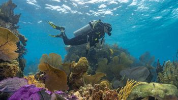 Menos gente, más para explorar, Belice en temporada baja es una gran oportunidad.