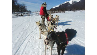 Travesía en trineos, otra forma de disfrutar los valles fueguinos