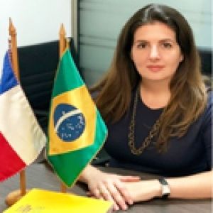 - Ladevi Medios y Soluciones
