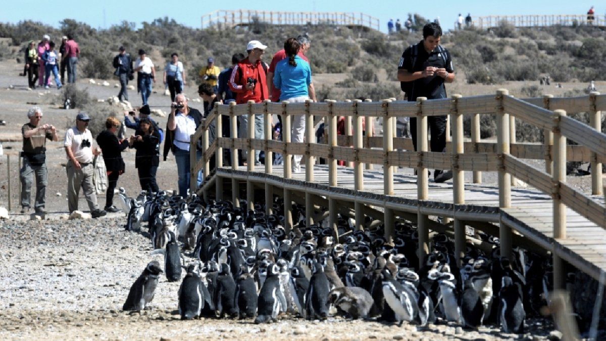 Las tarifas de Punta Tombo varían de acuerdo al tipo de visitante.