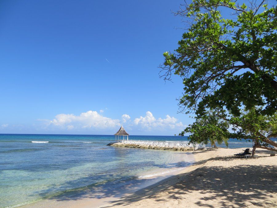 Todas las novedades en un ciclo de webinars.