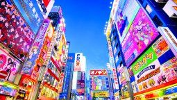 Por la noche, las luces tokiotas operan de manera hipnótica.