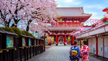 Japón: 10 motivos por los que conviene contratar un tour en el país del sol naciente