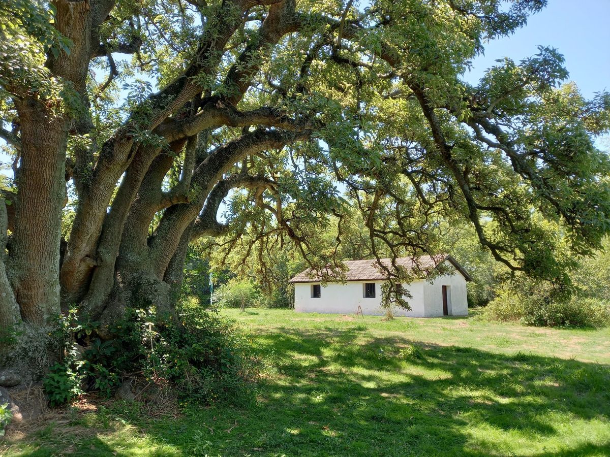 Escapadas en Semana Santa: el museo Hudson combina naturaleza e historia a minutos del Obelisco. Escapadas en Semana Santa: el museo Hudson combina naturaleza e historia a minutos del Obelisco.