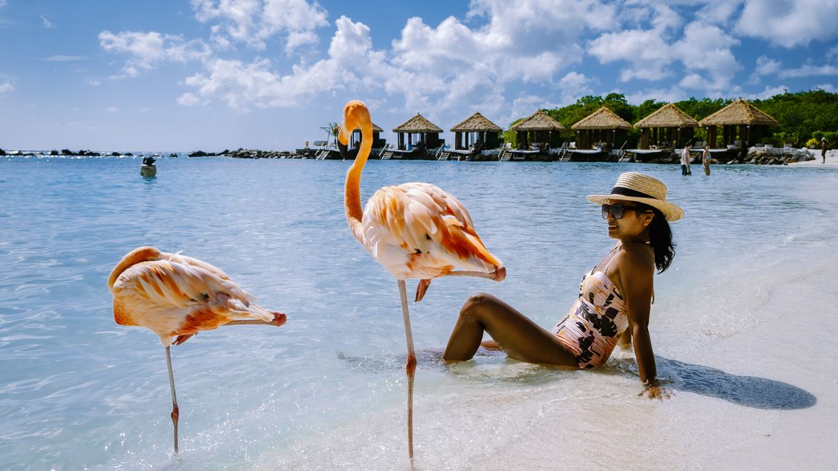 Ven a Aruba y déjate enamorar por sus playas de arena blanca, aguas cristalinas y hoteles inolvidables.
