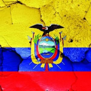- Ladevi Medios y Soluciones