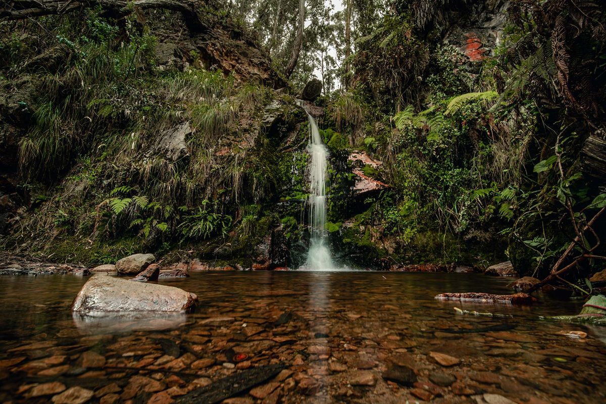 Sendero Quebrada Las Delicias.