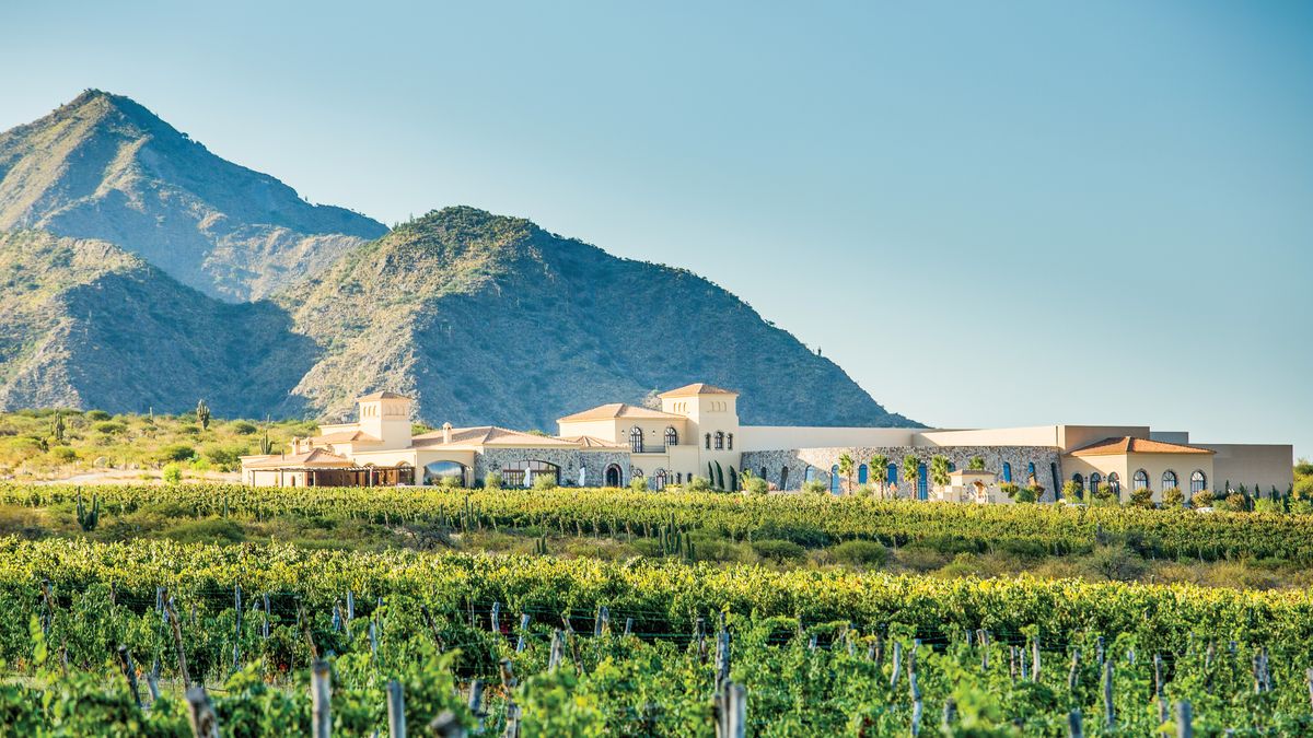 El plan de Daniel Scioli busca conectar Cafayate con Brasil, mediante vuelos internacionales directos.