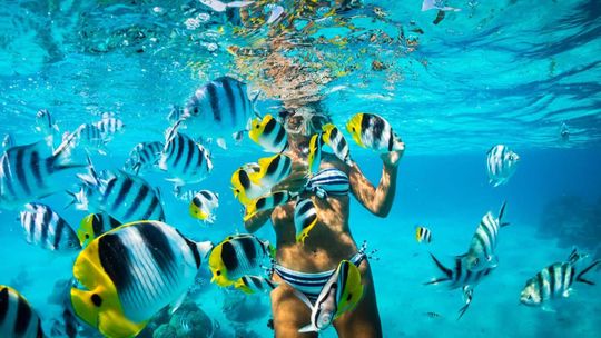 Vacaciones en Punta Cana: República Dominicana tiene muchas excursiones atractivas para disfrutar.&nbsp;