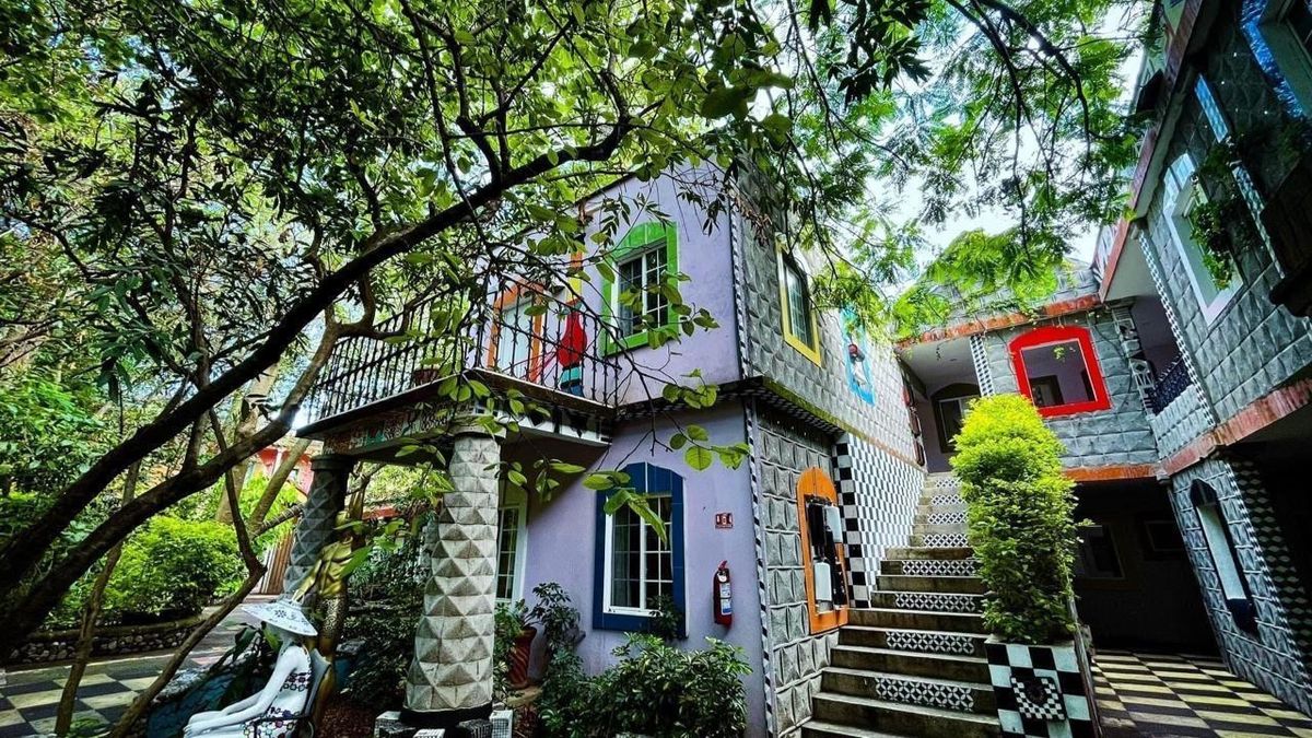 La Casa de los Árboles promete experiencias únicas de turismo comunitario y cultural.