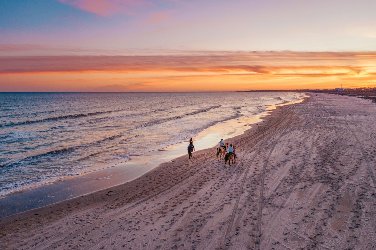 Florida: playas escondidas para disfrutar de un escape perfecto, image size:1200x799