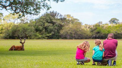 Todo lo que debés saber para viajar a los Esteros del Iberá
