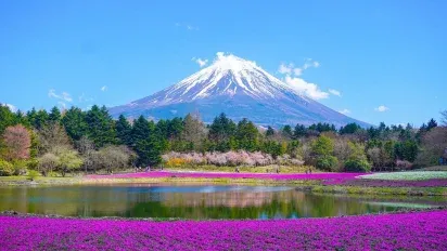 Mega Travel: circuitos a Japón y Corea con salidas para 2024