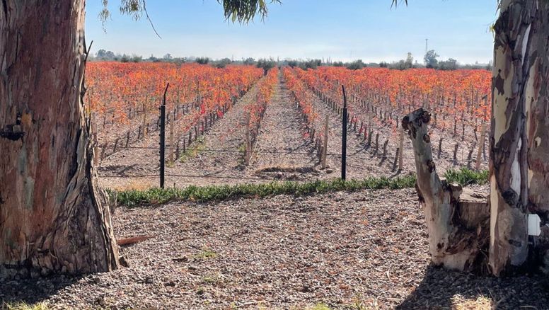 Travel Sale 2025: vuelos en cuotas y hasta un 29% off y destinos nacionales con mayores descuentos.