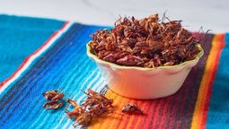 Descubre la gastronomía exótica que puedes encontrar en estos Pueblos Mágicos.&nbsp;