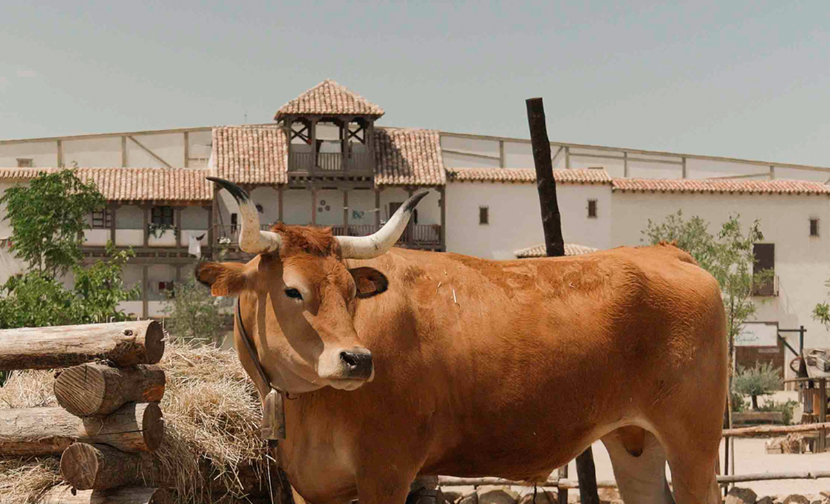 Puy du Fou, en el foco de la polémica por irregularidades en la gestión de sus animales.