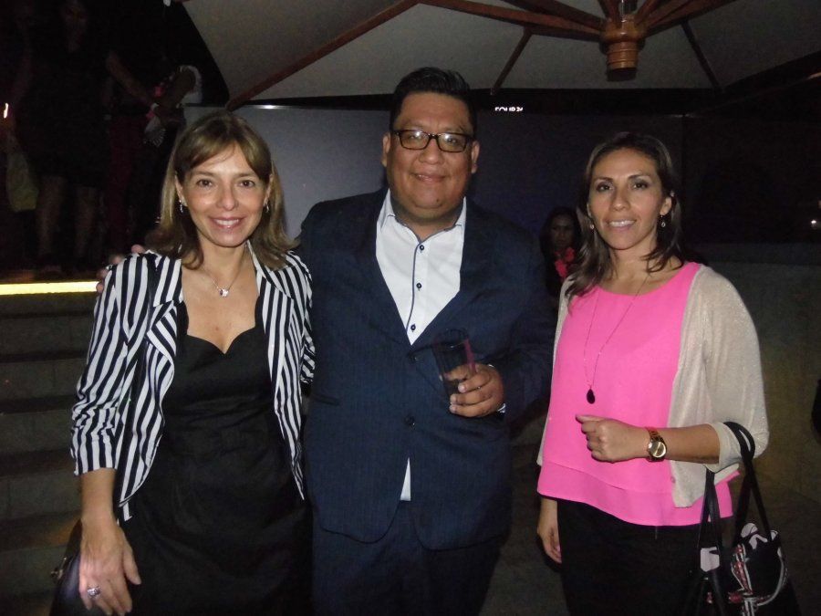 - Ladevi Medios y Soluciones