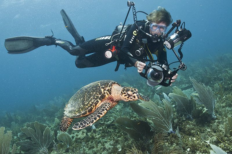Tanto para profesionales o para amateurs, Bonaire ofrece su magnífico mundo subacuático.