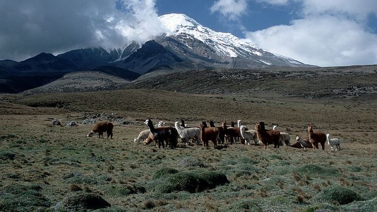 Dentro de los planes para 2024, el Ministerio de Turismo anunció la creación de tres corredores seguros, uno de ellos ubicado en el centro de la región Sierra.