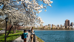 Estas vacaciones de Semana Santa descubre una de las ciudades más divertidas de Estados Unidos.