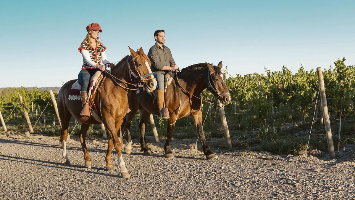 Mendoza ofrece encantadoras cabalgatas entre viñedos y la Cordillera de los Andes. 