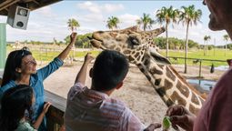 Kissimmee: Wild Florida Adventure Park.