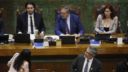 La idea de legislar fue rechazada por la Cámara de Diputados.&nbsp;