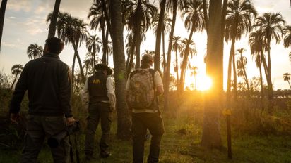 El Parque Nacional El Palmar conserva uno de los paisajes más representativos de la provincia de Entre Ríos.