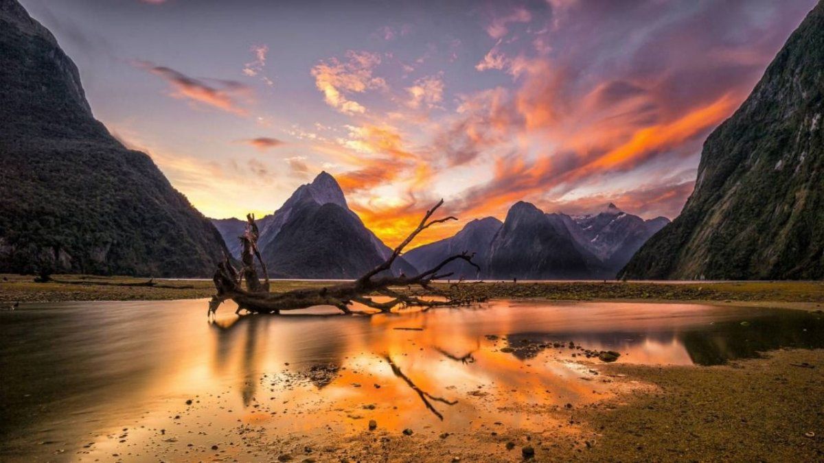 Pe-Tra Operadora: fortalecimiento de los viajes personalizados