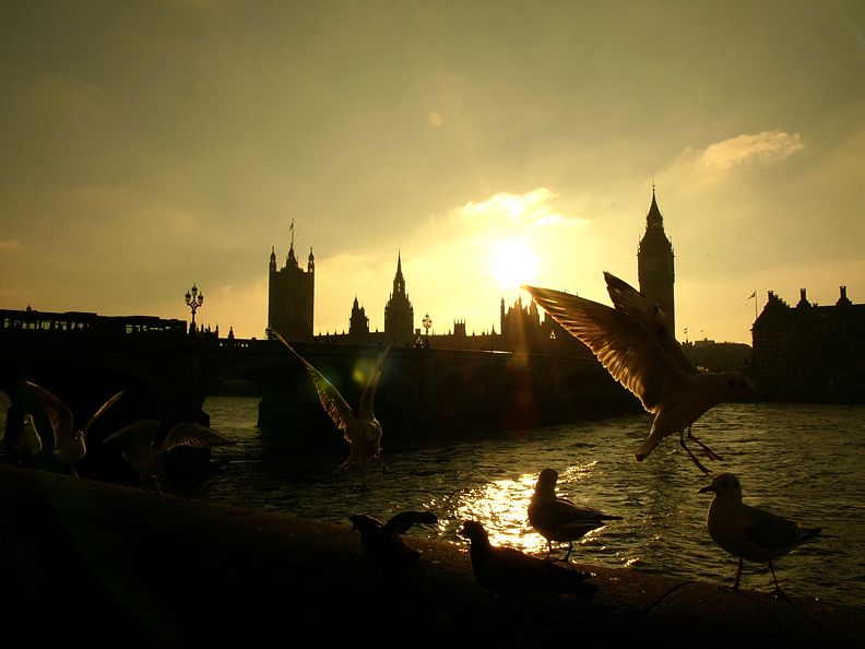 El atardecer en el Támesis con el Parlamento de fondo.