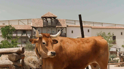 Puy du Fou, en el foco de la polémica por irregularidades en la gestión de sus animales.