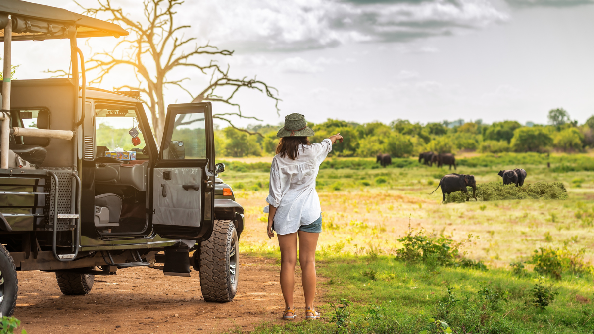 En África encontrarás cientos de parques naturales para realizar safaris.