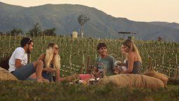 altText(Los Caminos del Vino de Córdoba, más allá del Fernet)}