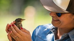 Colombia reafirma su liderazgo mundial en avistamiento de aves y se posiciona como un destino ideal para los viajeros amantes de la naturaleza.