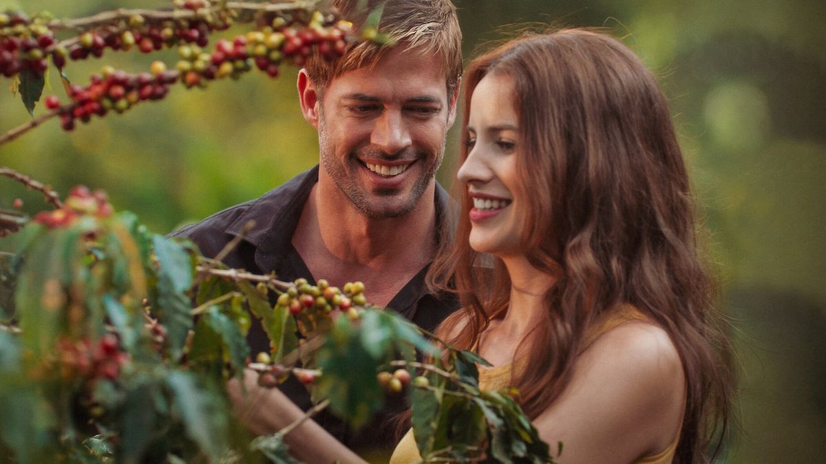 Vacaciones en Colombia: conocé la encantadora hacienda donde se filmó Café con Aroma de Mujer durante una visita al país.