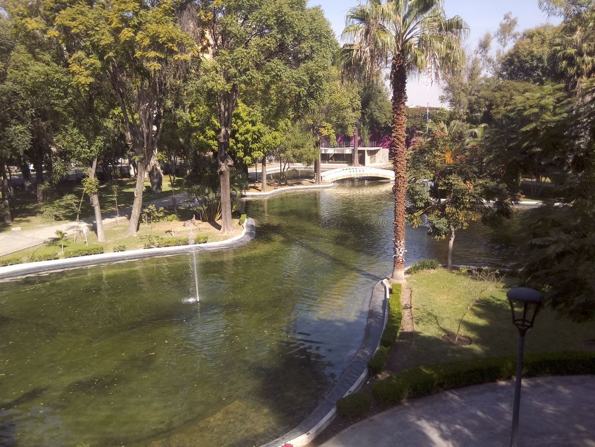 El Parque Agua Azul es uno de los más hermosos de Guadalajara.