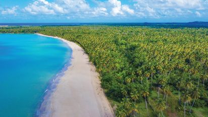 Ya se pueden reservar las habitaciones del Viva Miches by Wyndham, ubicado a una hora y media de viaje del Aeropuerto Internacional de Punta Cana.