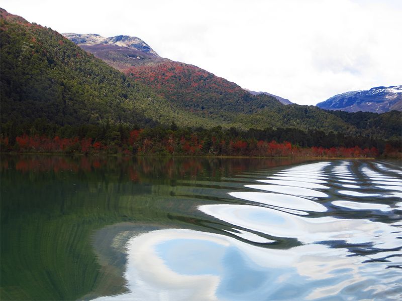 La belleza alrededor del Lago Frías, casi la obra de un pintor impresionista.
