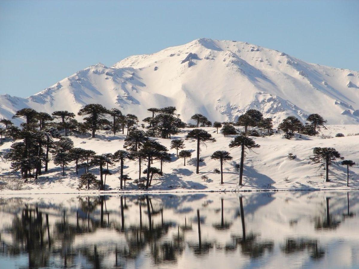 Vacaciones de invierno: en Caviahue además de las termas se puede encontrar un gran centro de esquí. Vacaciones de invierno: en Caviahue además de las termas se puede encontrar un gran centro de esquí.