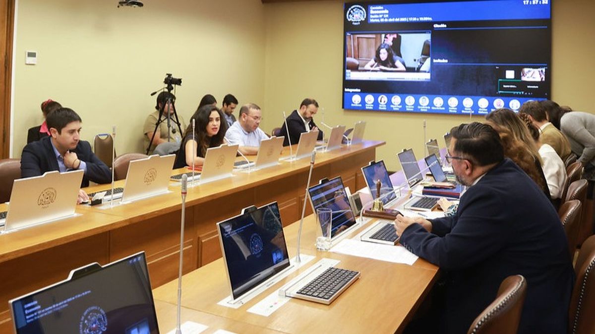 Comisión de Economía de la Cámara de Diputados determinó reunir varias iniciativas en un proyecto único para modificar el Código Aeronáutico.