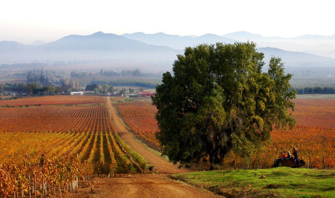&nbsp;El viñedo entrega una impresionante vista panorámica del Valle de Colchagua.
