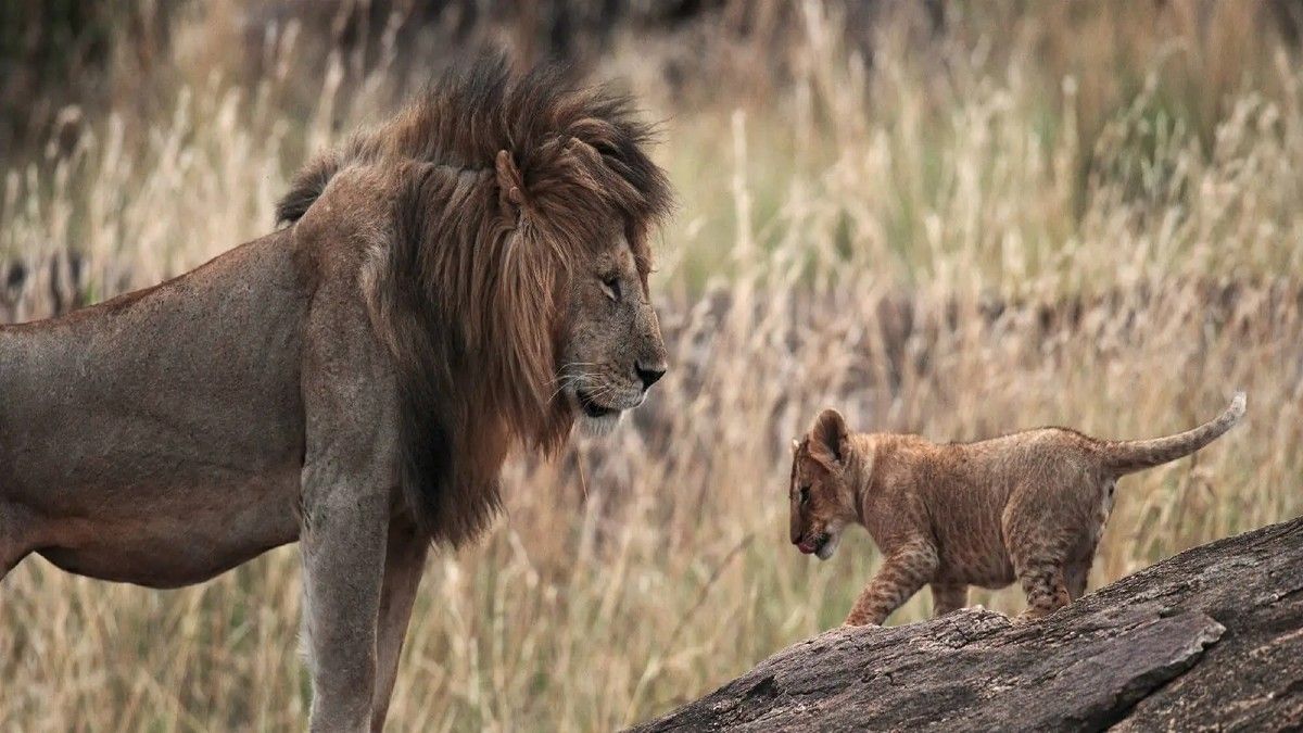 3 países en África Central que debes visitar una vez en la vida, image size:1200x675