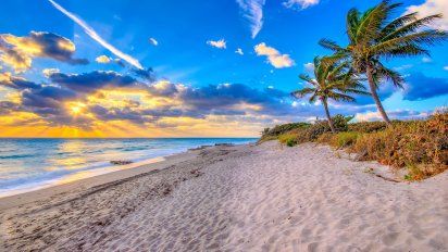 The Palm Beaches: las mejores experiencias en Florida