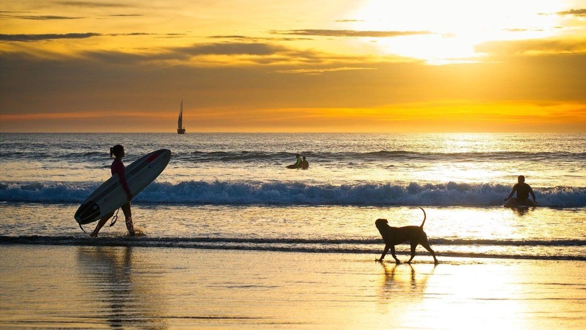 Travel Sale tendrá siete días de promociones para viajar por Argentina y el exterior. Comparar precio final, cuotas y condiciones será clave antes de comprar.