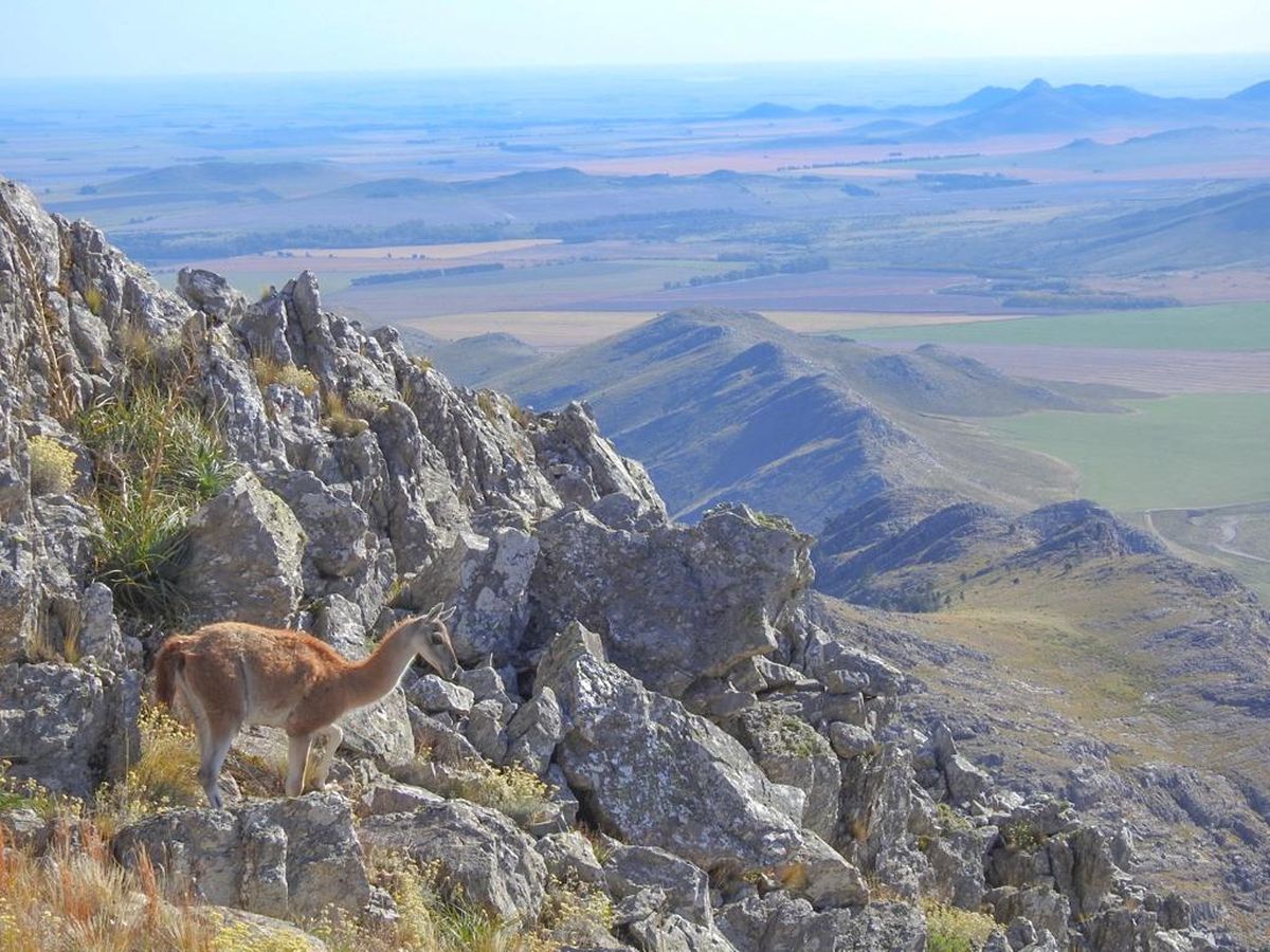 Escapadas: subir al cerro Ventana es un desafío para los turistas que visitan el Parque Ernesto Tornquist. Escapadas: subir al cerro Ventana es un desafío para los turistas que visitan el Parque Ernesto Tornquist.