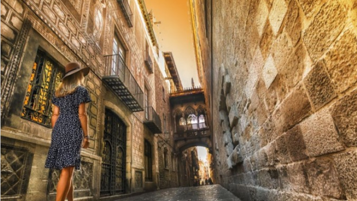 Mapaplus: variadas y atractivas propuestas en el catálogo Elite 2026.